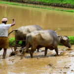 PM Modi, UAE President discuss bilateral ties, review progress across sectors in telephonic conversation