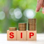 World Elephant Day 2025 to be celebrated in Coimbatore on August 12