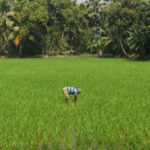 India reaffirms commitment to Yemen in high-level Riyadh meeting