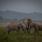Uttarakhand: About 1,278 people rescued in Dharali