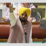 Flood Relief: Punjab Govt announces compensation for dead goats, chickens